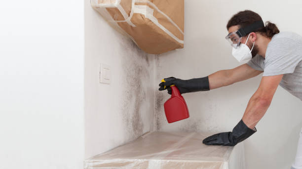 Professional Attic Mold Remediation technician working in Berlin, NJ