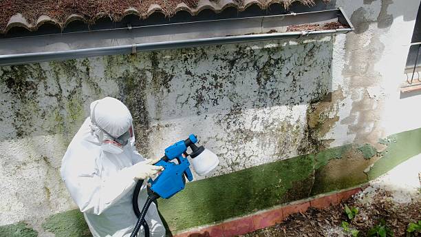 Top rated local Attic Mold Remediation specialists in Berlin, NJ